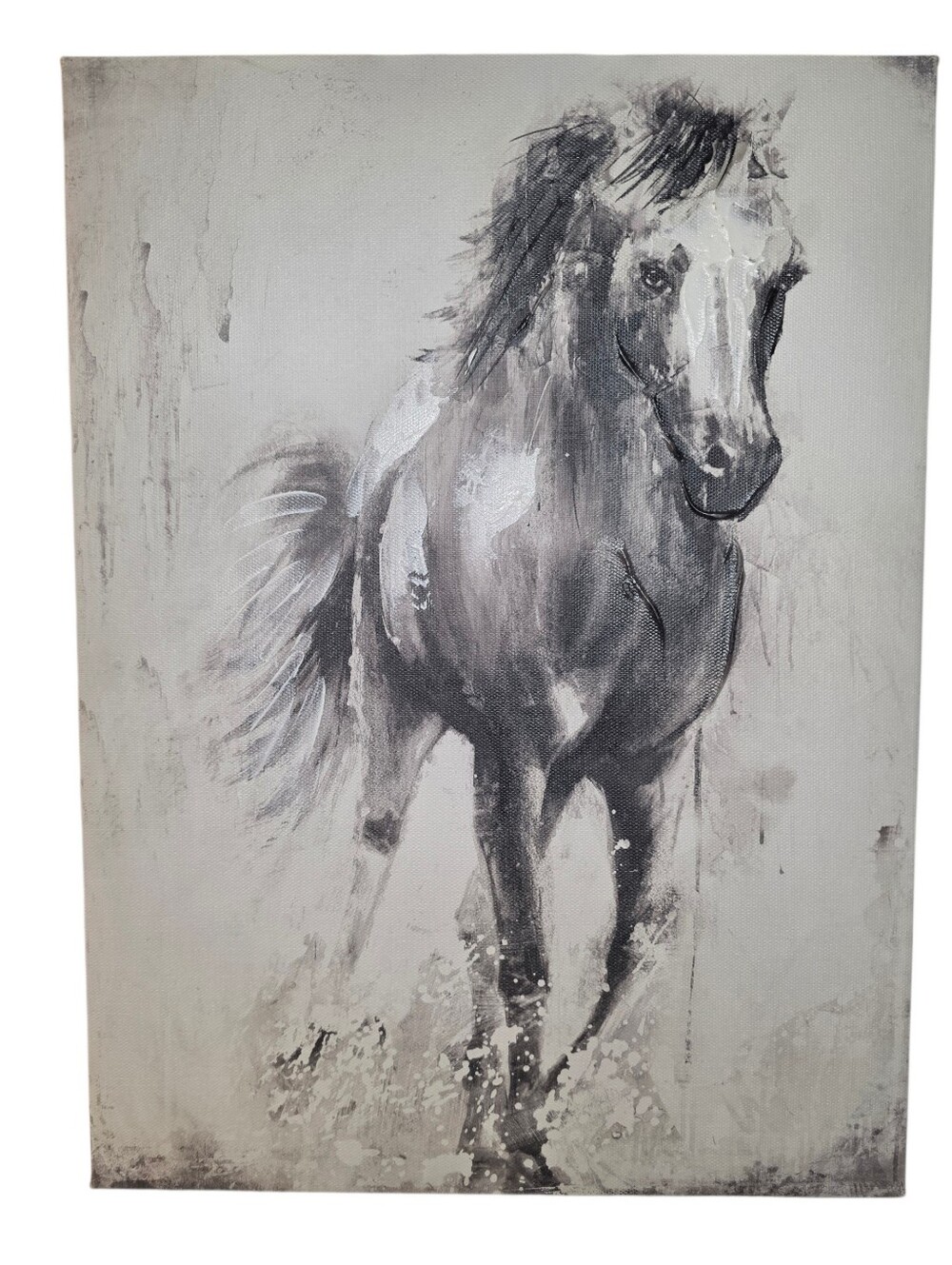 Stallion Horse Canvas Wall Art Contemporary Western Home Decor Black & White